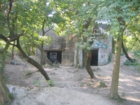 Obrázek